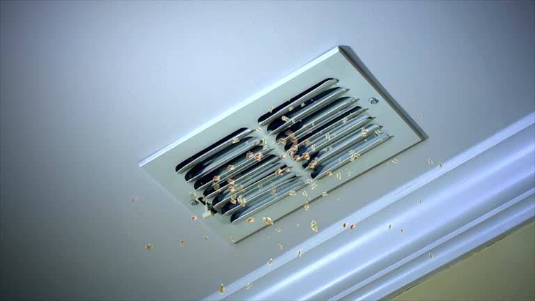 Best HVAC Duct Inspection Services  in Bannockburn, IL